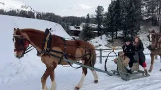 Eviva la Schlitteda Champf&egrave;r!