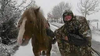 Winter Camino de Santiago