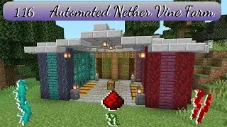 Minecraft 1.16 Automated Nether Vine Farm