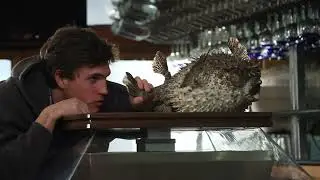 Check Please Trailer
