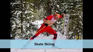 Cross country Ski Poles