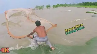 Traditional Cast Net Fishing In River - Natural River Fishing Video - Amazon River Fishing 