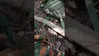 Trending Video India Army Videos with Snake