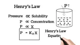 Henry's Law || Solutions Chemistry Class 12 || Henry's Law Class 12 Chemistry 