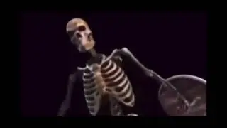 1 Hour: Skeleton banging shield meme