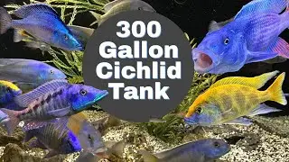 EVERY PART of My 300 GALLON TANK REVEALED! [Setting Up a BIG TANK? -  WATCH THIS FIRST!]