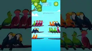 Bird Sort Color Puzzle Game | #trending #short #shorts #shortvideo #youtubeshorts #GamePlay_2_0_2_5