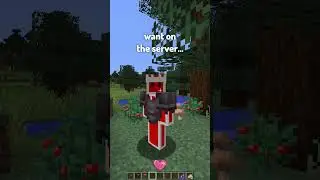 Types of Server Owners in Minecraft