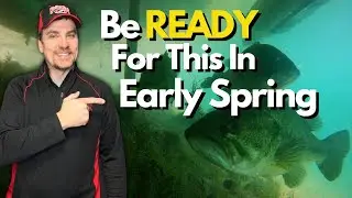 The Surprising Reality of Cold Water Bass Fishing | Underwater Proof