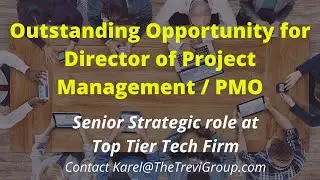 Hiring DIRECTOR of PROJECT MANAGEMENT / PMO - F/T 100% Remote - IT Business Transformation Projects