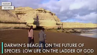 Darwin's Beagle: On The Future of Species: Low Life on the Ladder of God