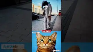 Epic Dance Fail! 😂🚫 Hit the Pole! #funny #cat #dance #shorts