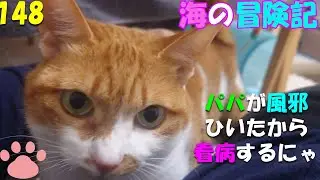 148　パパを看病するにゃ