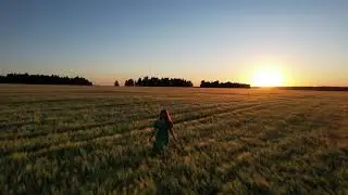 View of wheat field at sunset