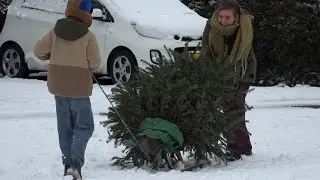 Jeugd trotseert code oranje voor Kerstboom Challenge: 'Ik heb er 45'