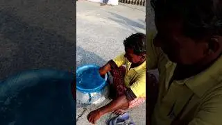 Uninterrupted Splashing Water to Keep Fishfingerlings Alive #shorts