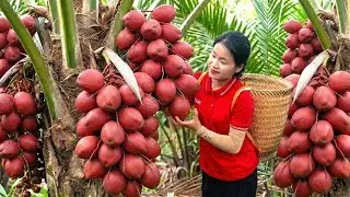 Harvesting 1000+ MUTANT Wild Coconut In the Forest Goes To Market Sell | Ella - Free Bushcraft