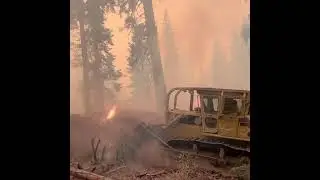 Evacuation Warnings as KNP Complex Fire Grows in Sequoia National Park