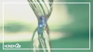 Water infrastructure struggling in Idaho