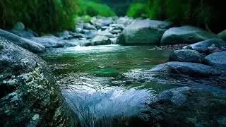 🍀 Gentle River Stream ASMR for Deep Sleep, Study Focus & Relaxing Mind