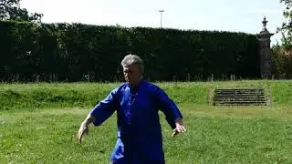 Tai Chi da fermo. Video lezione gratuita. M° Angelo Fumagalli - Tai Chi Online.it