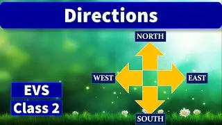 Directions and Maps | Uses of Compass | EVS | Class 2 | Cardinal Directions | Worksheets