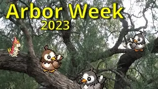 How I headbutted trees for a shiny Starly during Arbor Week 2023