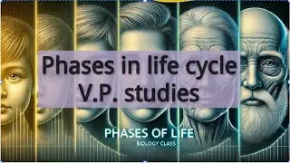 Phases of life cycle | Juvenile phase or Vegetative phase| Reproductive phase | Senescent phase