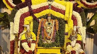 Sri venkateswara kalyanam✨💐🙏celebrations👌🎉🙏#om #namo venkatesaya#lord #venkateswara#govinda#tending 