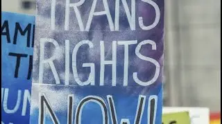 Transgender Rights Organizations from All Around the World | TransSingle