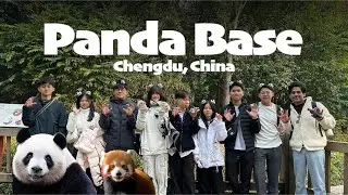 Panda Base Chengdu | Chengdu | China