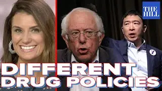 Krystal Ball: Yang vs. Bernie on the War on Drugs