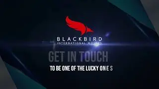 🚛 Move Stress-Free with Blackbird Moving! 🌍 | International Relocation Experts