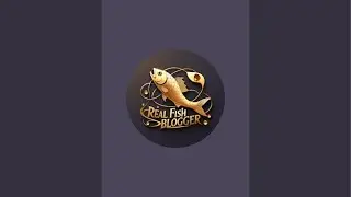 Real Fish Blogger // 