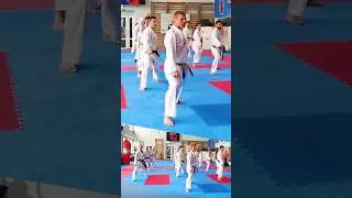 Kihon Karate #2 #karate #piatsko #seminarpiatsko #martialarts #sensei #空手道 #shotokan #karateseniors