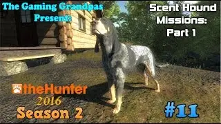 The Scent Hound Missions: Roosevelt Elk in Redfeather Falls -  theHunter (2016)