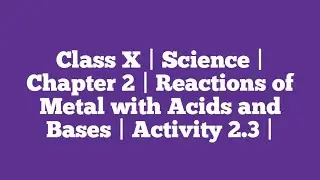 Class X | Science | Chapter 2 | Reactions of Metal with Acids and Bases | Activity 2.3 |