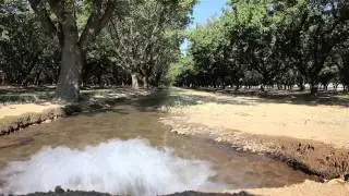 This week on Americas Now: Oil Wastewater