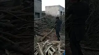 Village boys Wood cutting competition