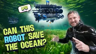 Can This Army of Robots Save the Ocean?