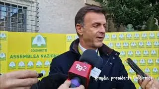 Assemblea Coldiretti: dichiarazione del presidente Ettore Prandini