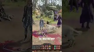 playing fetch with our resident kobold :D #baldursgate3 #gaming #funny