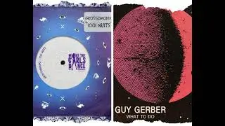 1001 NUITS - GROSSOMODDO X WHAT TO DO - GUY GERBER (&ME REMIX) - MASHUP