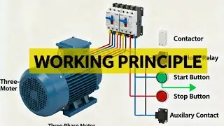 UNDERSTANDING of DOL STARTER WORKING PRINCIPAL 