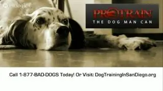 Private Dog Training San Diego Private Dog Trainer