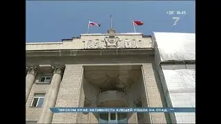Реконструкция фасада здания краевой администрации завершится только к концу года
