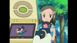 Chatot Pok&eacute;dex Entries..wmv