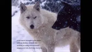 Two wolves dwa wilki Cherokee Wisdom 432 Hz by Pawlo