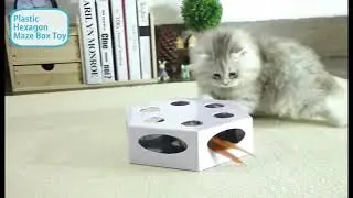Electric hexagon maze box cat toy