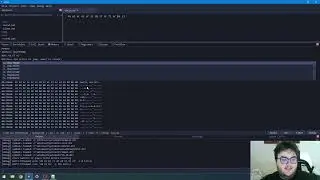 Icarus IDE  - Debugger 